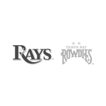 A transparent logo featuring stylized lettering that reads 'RAYS' with additional faded text underneath, possibly a slogan or location name, on a checkered background indicating transparency.