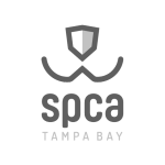Transparent image showing the logo for SPCA Tampa Bay, featuring the acronym 'SPCA' in bold letters beneath a stylized shield and a smile-shaped line, with the words 'Tampa Bay' underneath in smaller font. The logo is set against a checkered background to denote image transparency.